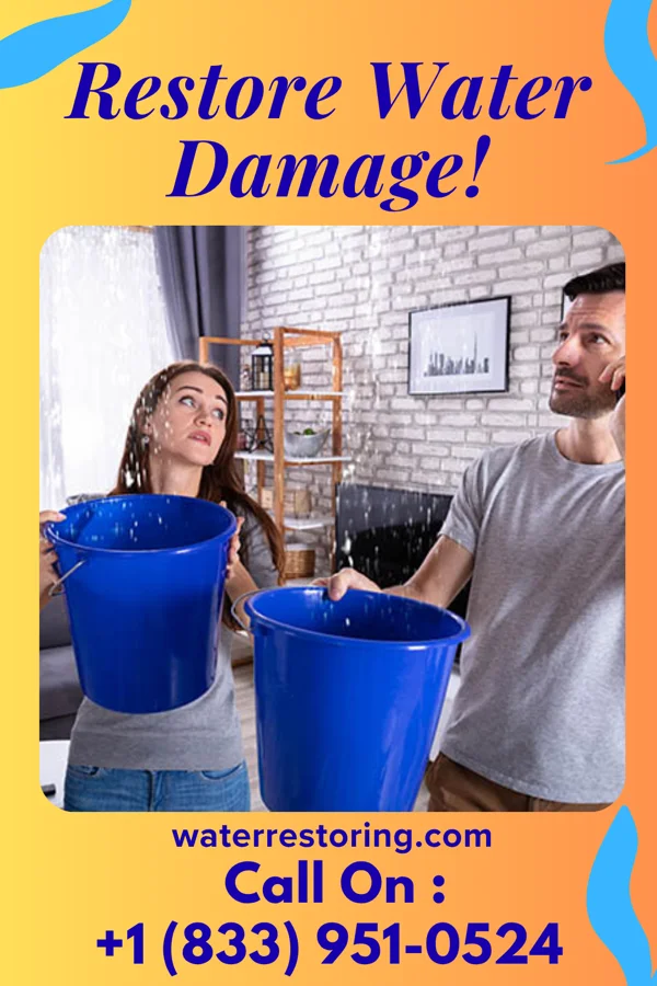 water restoration Royal Flood Damage Partners Trinity