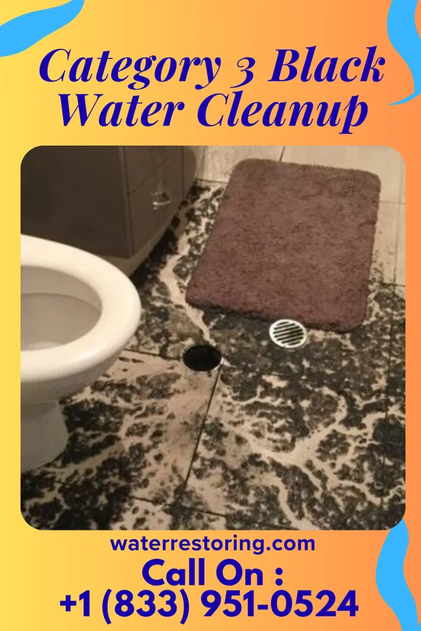 Category 3 Black Water Cleanup in Trinity, AL