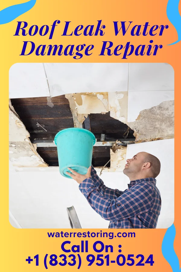 Roof Leak Water Damage Repair in Trinity, AL